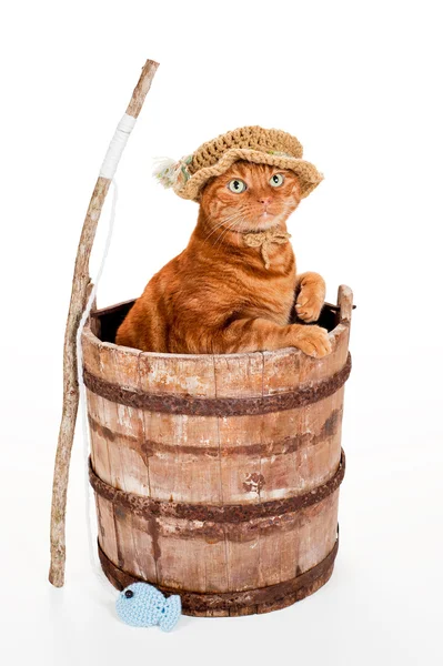 Orange Tabbykatt hatt virkade fiskare och sitter i en gammal, vittrade trä hink med en pinne metspö och virkad fisk. — Stockfoto