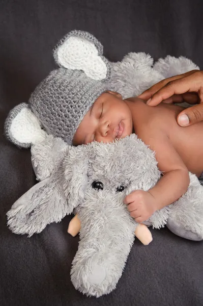 Newborn baby boy in a grey crocheted elephant hat, sleeping on a plush elephant — Stock Photo, Image