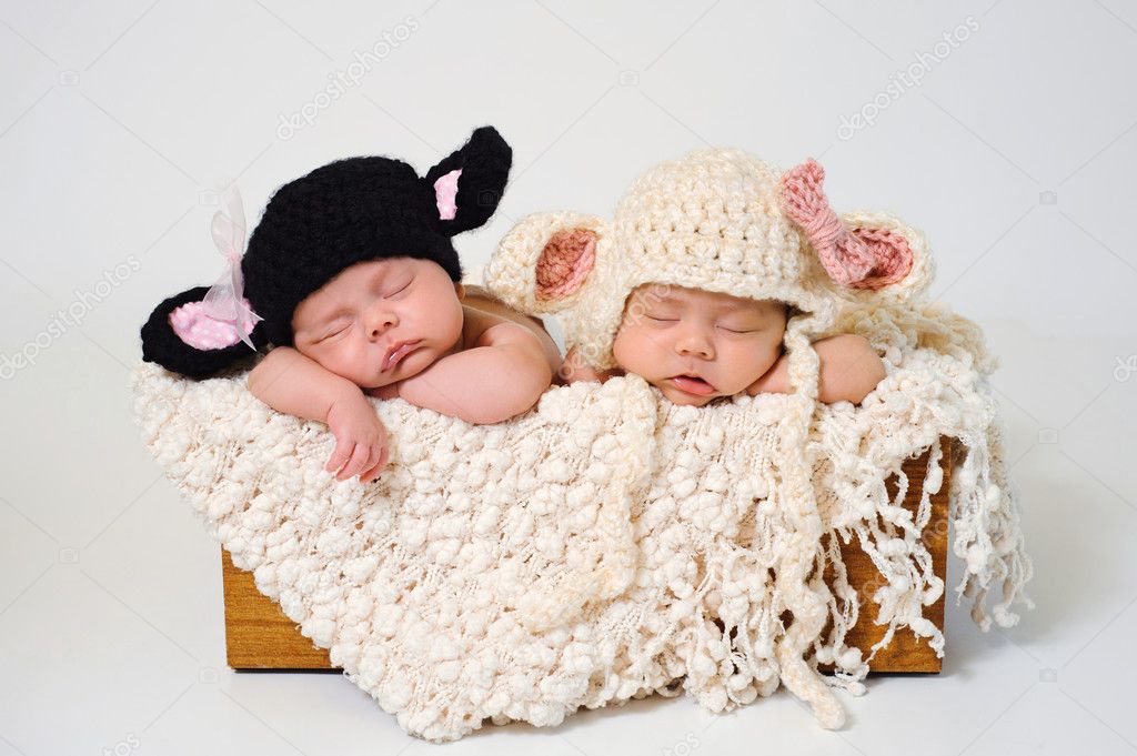 Newborn baby girls wearing black sheep and lamb hats.