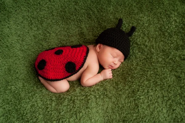 Ladybug kostüm giyen yeni doğan bebek kız — Stok fotoğraf