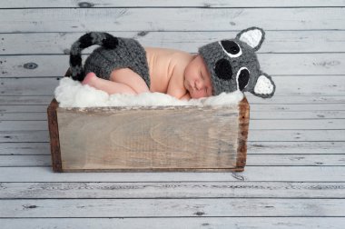 Yeni doğan bebek rakun kostümlü