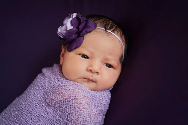 Newborn Baby Girl in Lavender and Purple — Stock Photo, Image