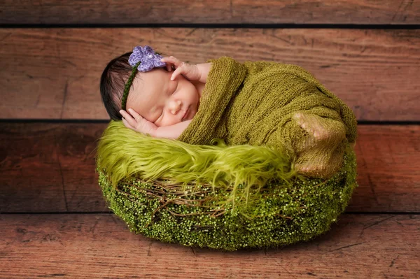 Retrato de uma menina recém-nascida adormecida Imagens De Bancos De Imagens