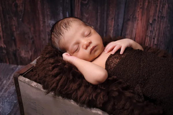 Newborn Baby Boy Sleeping in a Rustic Crate — Stock Photo, Image