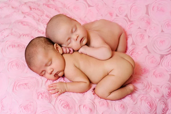 Sleeping Fraternal Twin Newborn Baby Sisters — Stock Photo, Image