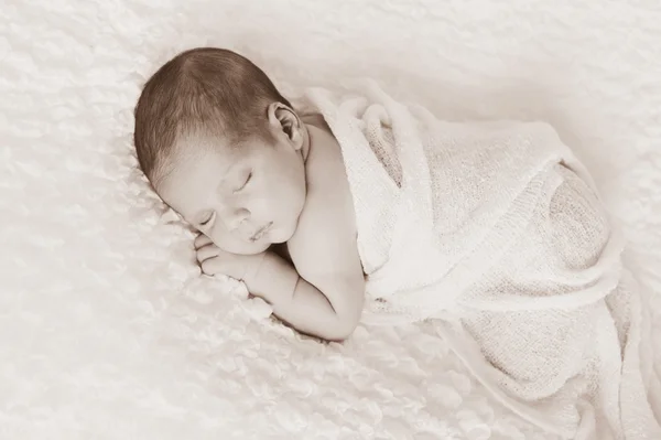 Sepia tonificado bebê recém-nascido menino retrato — Fotografia de Stock