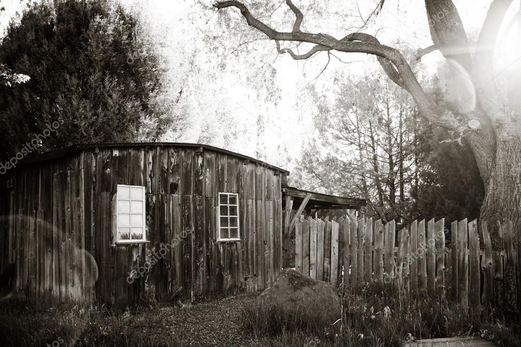 Rustic Wooden Building with Trees and Sunflare