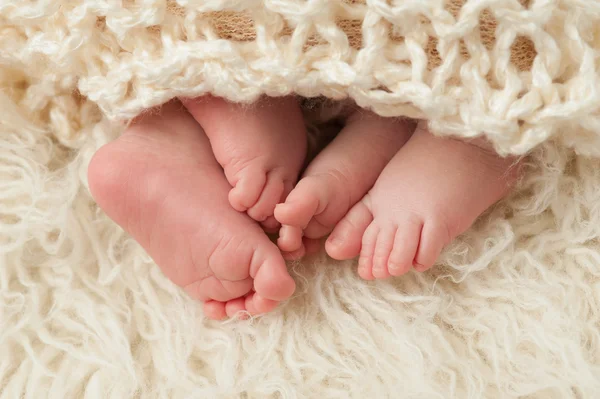 Feet of Newborn Baby Twins — Stock Photo, Image