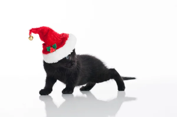 Чёрный котенок в красно-белой шляпе Санта-Клауса — стоковое фото