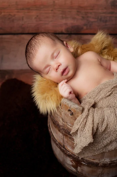 Bebe Vintage Humano Gente Stock Photo Bebe Vintage Humano Gente Stock Photo