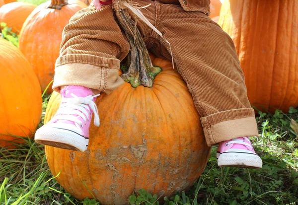 Pequeños pies escabullidos rosados de un niño pequeño sentado en una calabaza naranja grande en el parche de calabaza estacional de un vivero local Fotos de stock