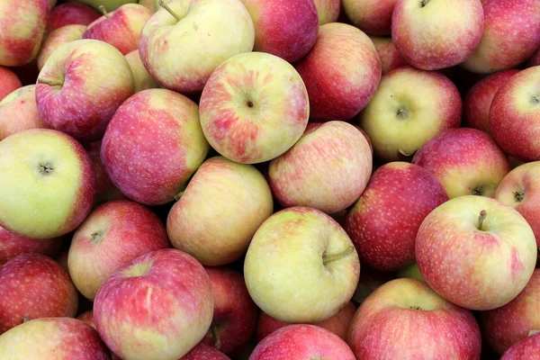 Manzanas macintosh tempranas crujientes y jugosas que se exhiben en el mercado local de agricultores Fotos De Stock Sin Royalties Gratis