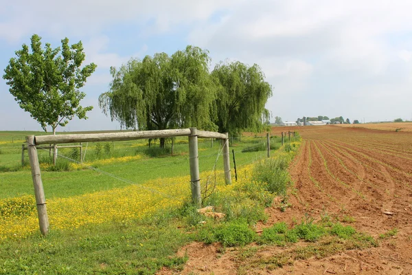 Paisaje de tierras de cultivo con árboles, campos arados y casa de campo en la distancia — Foto de Stock