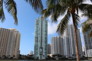 uzun boylu işletme binası ve palmiye ağaçları ile çerçeveli condominiums