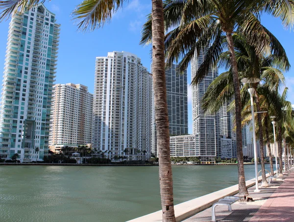 Wunderschöne Stadtlandschaft mit Geschäftsgebäuden und ultraschicken Eigentumswohnungen entlang des Flusses Spaziergang in miami, florida Stockfoto