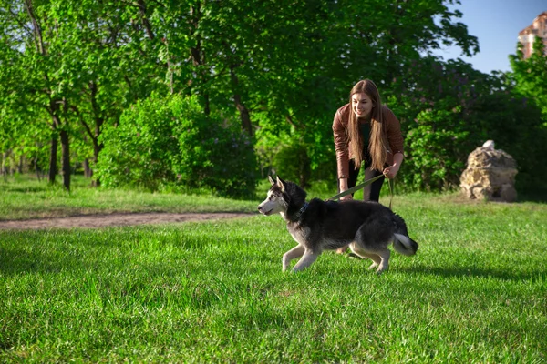 Девушка играет со своей собакой в парке — стоковое фото