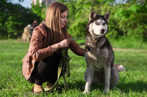 A menina está passando tempo com seu cão em um gramado — Fotografia de Stock