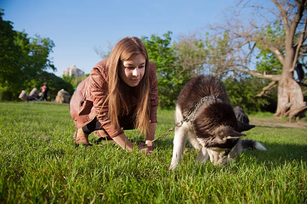 Het meisje speelt met haar hond in het park — Stockfoto