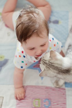 Gri kedi ve küçük çocuk battaniyede birlikte oynuyorlar.