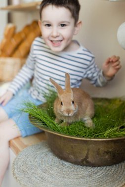 Paskalya süslemeleriyle donatılmış hafif bir mutfakta sevimli bir tavşanı olan beyaz bir çocuk.