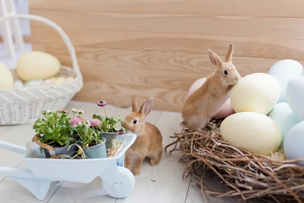 复活节兔子 鸡蛋和鲜花在厨房的轻便室内 — 图库照片
