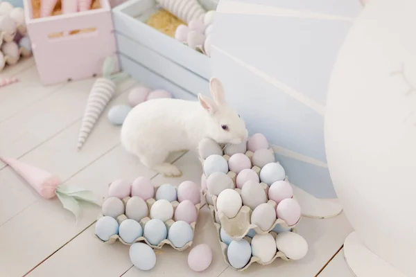 白色复活节兔子和复活节蛋 浅色内饰 粉色和蓝色复活节装饰品 — 图库照片