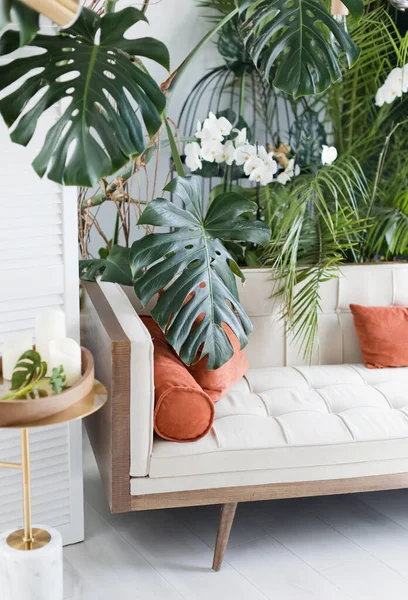 Living room with light color sofa and tropic plants. Stylish interior with big monstera and sofa