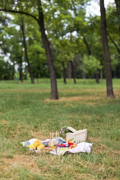 Пикник Едой Напитками Корзиной Ротанга Скатерти Парке Симпатичный Пикник Открытым — стоковое фото