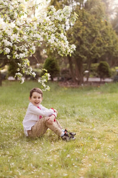 Caucasian Boy Traditional Ukrainian Cloth Vyshyvanka Blossom Garden Ukraine Ethnic — Stockfoto