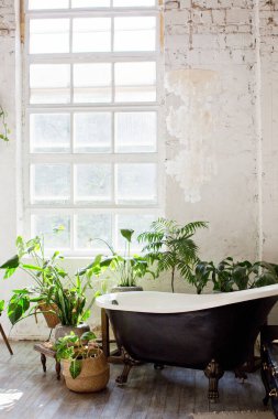 Banyo içinde büyük pencereler, siyah banyo ve saksılarda bitkiler var.