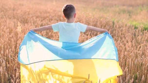 Хлопчик Україніанським Прапором Пшеничному Полі Концепція Незалежності України Припиніть Війну — стокове відео