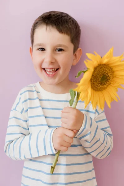 Caucasian Boy Beautiful Sunflower Pink Background Copy Space — Fotografia de Stock