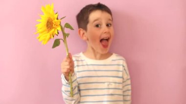 Caucasian boy with beautiful sunflower on a pink background with copy space