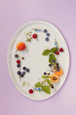 Oval frame plate with berries on a light violet background with copy space