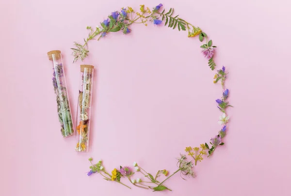 Homeopathy and herbal medicine concept. Round flower frame of wildflowers with glass bottles with dry herbs inside on a pink background with copy space