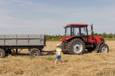Child and red tractor with trailer in the wheat field. Wheat grain harvest season