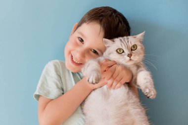 Caucasian boy and grey british cat on a blue background with copy space
