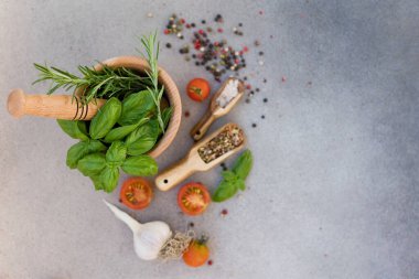 Wooden mortar and pestle with fresh rosemary and basil, spices and tomatoes on a grey concrete background with copy space. Spices and fresh kitchen herbs concept