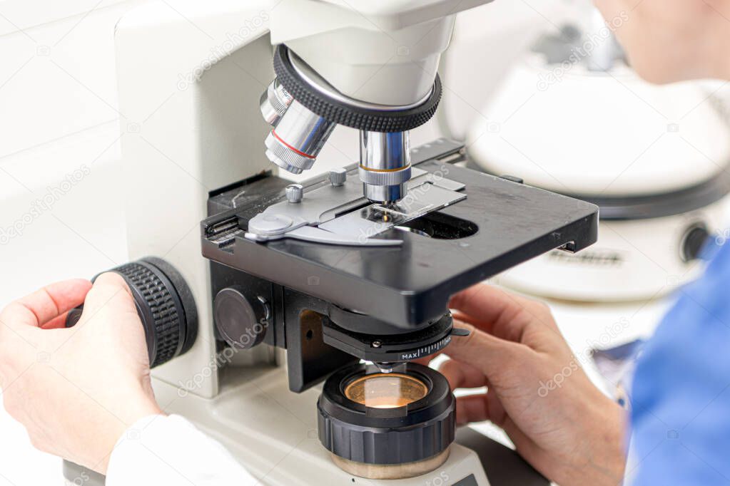Veterinarian puts a sample under the microscope and examines for pathogenic germs.