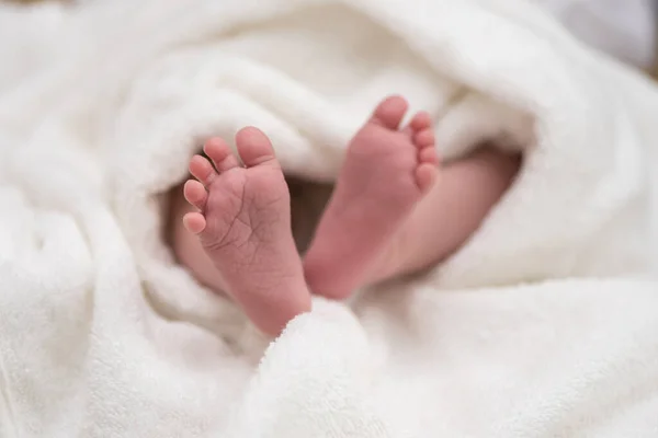 tiny cute baby legs of a newborn wrapped in a blanket. Close up.