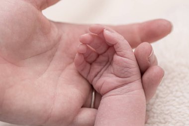 Tanıdık eller. Küçük bebek eli, büyük ebeveynin elinde.. 