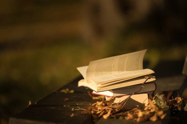 Sonbahar parkında ahşap bir bankta açık bir kitap.