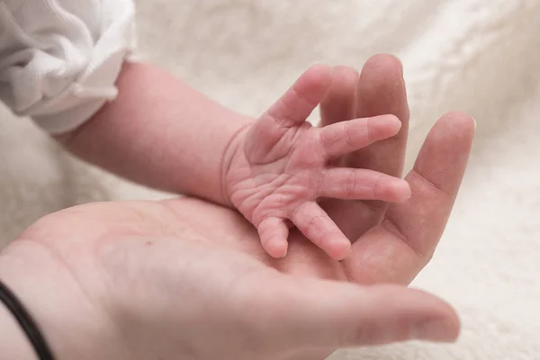 Familiar Hands Small Baby Hand Big Hand Parent — стоковое фото