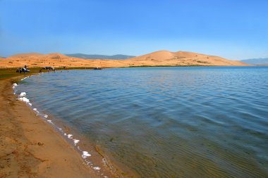 Qinghai Gölü