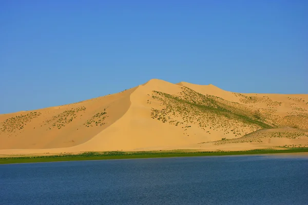Lago Qinghai Milton — Foto de Stock