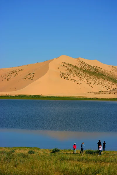 Qinghai Lake Milton — Zdjęcie stockowe