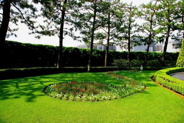 Tokyo Disneyland gardening lawn — Stock Photo, Image