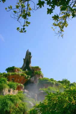 Tokyo disneyland sıçrama dağ hayvan cenneti
