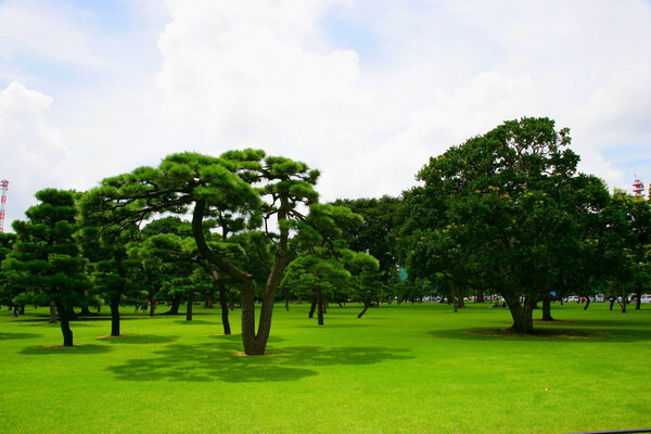 Tokyo, Japan, Huang Yuan Plaza lawn Nijubashi