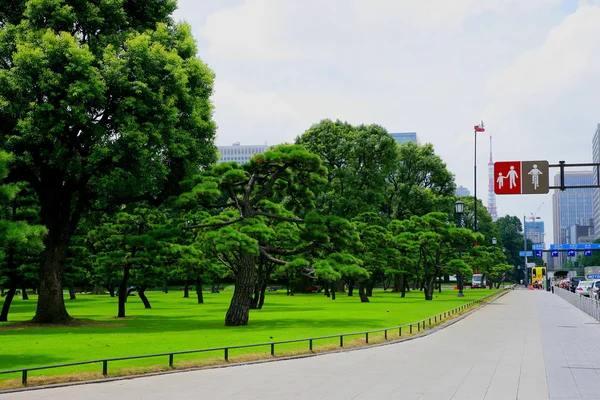 Токио, Япония, Huang Yuan Plaza lawn Nijashi — стоковое фото